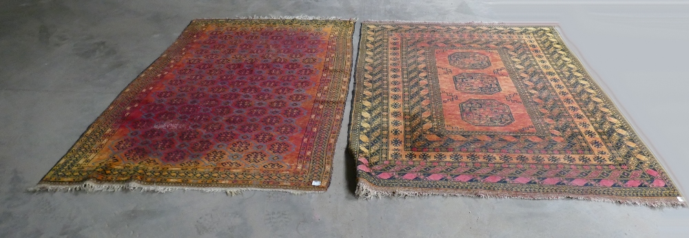 Afgan Hand Tied Rugs: largest 154 x 213cm(2)