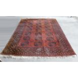 Afgan Hand Tied Rug: largest 212 x 294cm