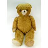 Large mid 20th century growling Teddy Be