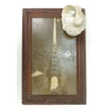 Victorian framed Hardstone Fossil of Orthoceras: Dimensions 46 x 27cm within frame together with