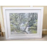 Tom Douglas - The Churnet: Watercolour of the River Churnet (Staffordshire) by Tom Douglas,