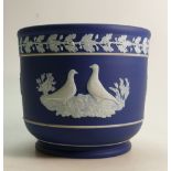 A Wedgwood Large Jardiniere in White on Dark Blue Dipped Jasperware: Made for Caperns Ltd of