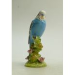 Beswick blue Budgie: Beswick first version blue budgie with floral base model 1217