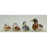 Royal Crown Derby Paperweights: Teal Duckling, Blue Duck, Brown Duck and another Duck.