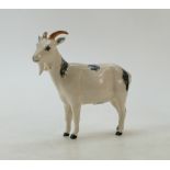 Beswick Nigerian Pygmy goat model no G233: