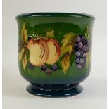 Moorcroft Leaf and Vine Planter: A Moorcroft planter in the leaf and vine pattern.