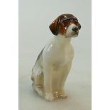 Royal Doulton rare seated Foxhound: Royal Doulton 1920s rare seated fox hound HN166.