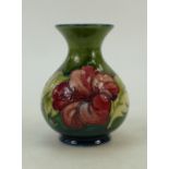 Walter Moorcroft Vase: Moorcroft vase decorated in the Hibiscus design,