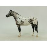 Beswick Appaloosa Stallion: 1st version model 1772