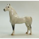 Beswick grey Welsh Mountain Pony model 1643:
