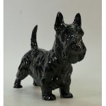 Royal Doulton large Scottish terrier HN1008: