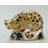 Royal Crown Derby paperweight Savannah Leopard: From the endangered species series,