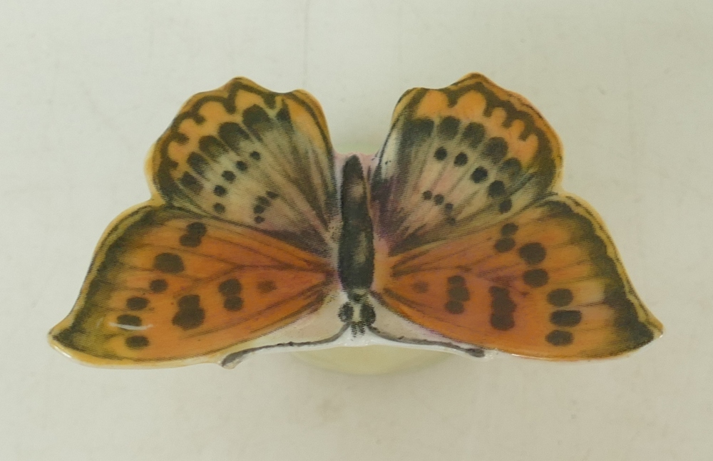 Royal Doulton rare miniature model of a Butterfly on plinth: Height 5cm. - Image 3 of 4