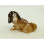 Royal Doulton model of a seated King Charles Spaniel dog: Royal Doulton early model of seated King