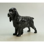 Royal Doulton model of a large Springer Spaniel: Height 19.5cm.