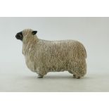 Beswick Wensleydale Sheep 4123: