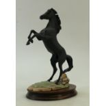 Border Fine Arts Rearing Black Stallion: Border Fine Arts model of "The black stallion returns",