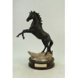 Royal Doulton Cancara The Black Horse: Model DA 234,