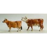 Beswick Cattle: Beswick early Hereford Cow model 948 and Beswick Jersey Cow 1345 in unusual