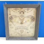 Framed Victorian Insect Display: In the form of a commemorative plaque,