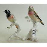 Karl Ens German porcelain birds(2):