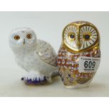 Royal Crown Derby paperweights Snowy Owl (collectors club) & Barn Owl(2)