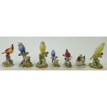 A collection of various miniature pottery birds: Collection of miniature birds by Royal Adderley