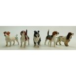 A collection of small Beswick dogs to include Sheepdog 1854; Beagle Wendover Billy 1939 x 2,