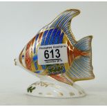 Royal Crown Derby paperweight Pacific Angel Fish: exclusive edition