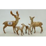 Beswick Deer family: The Stag model 981 (restored antlers), Doe, model 99A and 2 fawns.