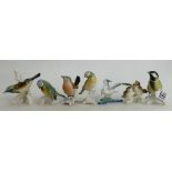 A collection of small Karl Ens German porcelain birds(7):