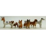 A collection of small Beswick dogs to include Dalmation 1763: Bull Terrier 1753, Bull Dog 1731,