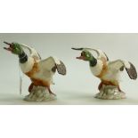 Beswick Shelldrake Duck: Shelldrake Duck (Rising - Beak Closed) 994 x 2