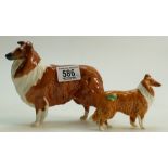 A Beswick large Collie 'Lochinvar of Ladypark' 1791: together with a small collie (2)
