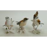 Karl Ens German porcelain birds(3):