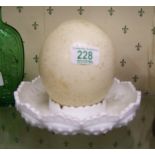 Large Blown Ostrrich Egg: diameter approx 16cm