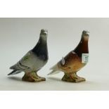 Beswick Pigeons 1383: in grey and Beswick Pigeon 1383 in brown (2)