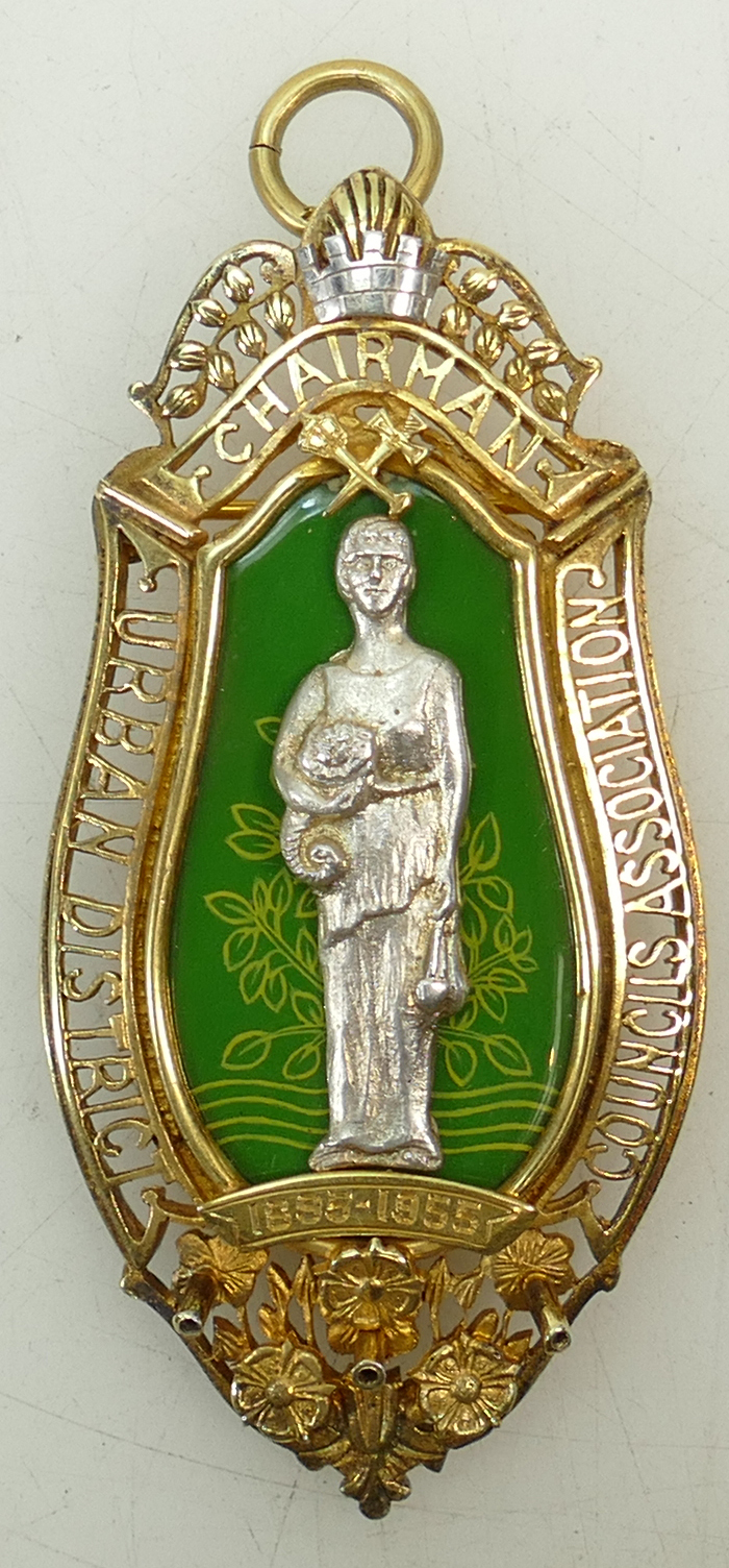 Silver gilt & enamelled Pendant: Silver