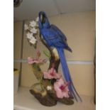 Connoisseur of Malvern Ltd Hyacinth Macaw, No 16 of a limited Edition of 25. 75cm high some