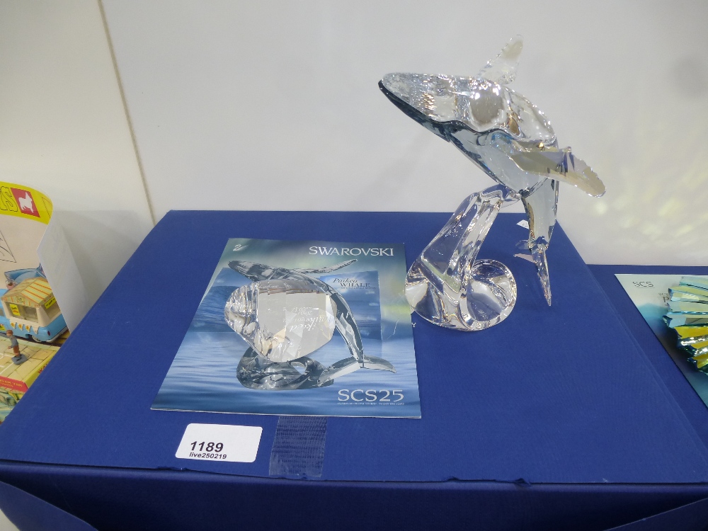 Boxed Swarovski crystal society; paikea whale