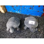 2x tortoises