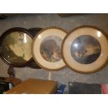 Four oval framed portrait pictures