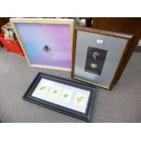 A set of four Garrard designs -framed as one- of fish, a similar watercolour of olw and one other