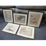 Five various Chinese watercolours of birds, probably early 20th century.