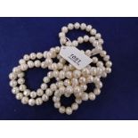 Long freshwater pearl necklace approx 59cm long.