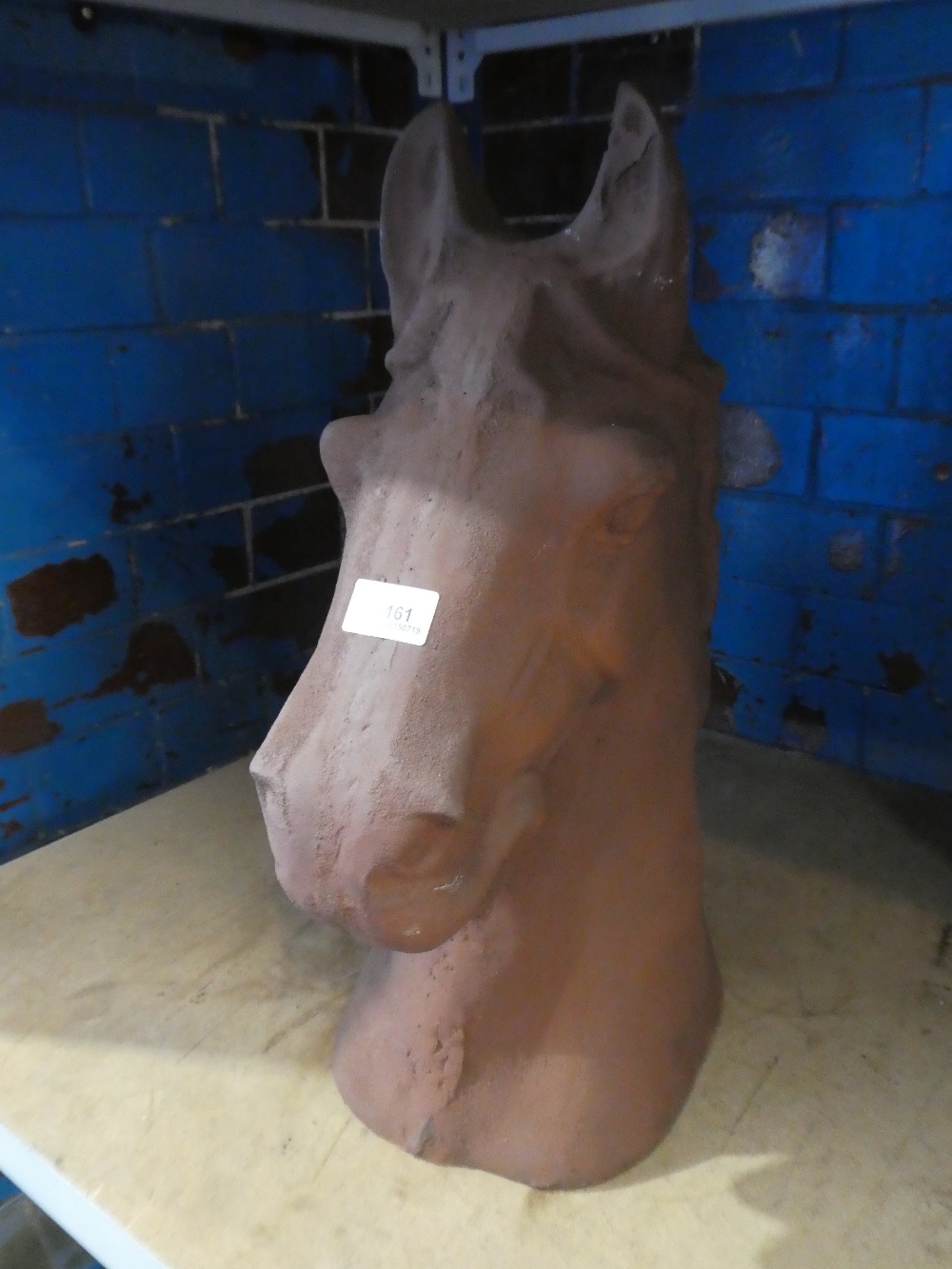 Horse head