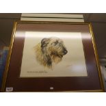 Six various framed and glazed dog pictures some signed, B Walsh and dated, and a large framed and