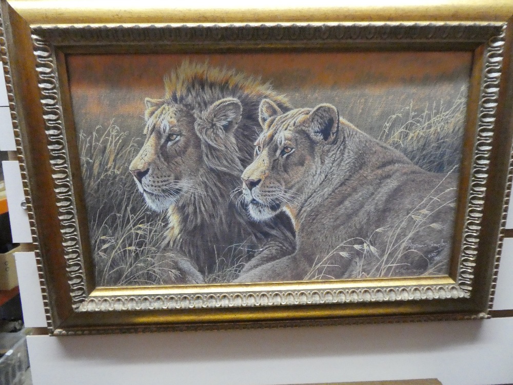 6 framed pictures of big cats, 4 being of limited runs. - Bild 3 aus 3