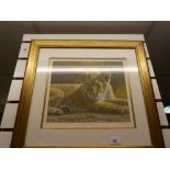 6 framed pictures of big cats, 4 being of limited runs.