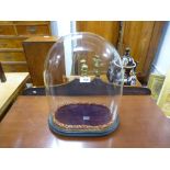 A Victorian glass dome on ebonised base. 38cms